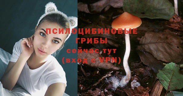 ПСИЛОЦИБИНОВЫЕ ГРИБЫ Нефтекумск