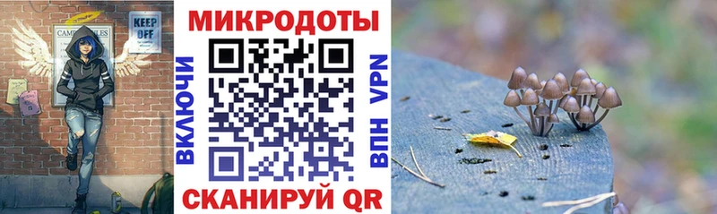 где можно купить наркотик  даркнет клад  Галлюциногенные грибы Cubensis  Отрадное 
