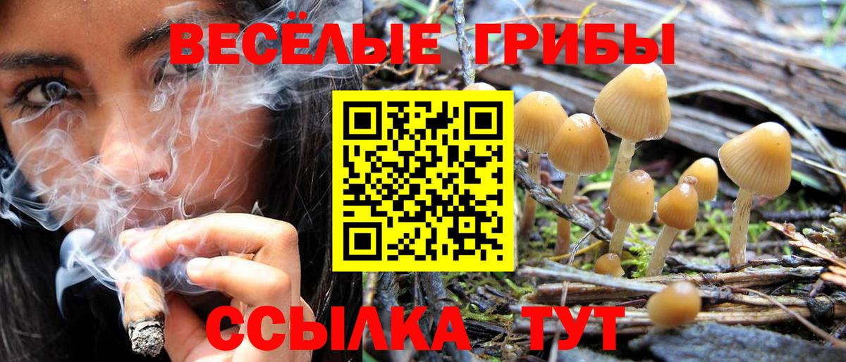 Галлюциногенные грибы Psilocybine cubensis  Псилоцибиновые грибы мицелий  Вход с VPN  купить наркоту  Отрадное 