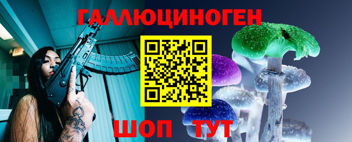 Галлюциногенные грибы Psilocybe  Отрадное 