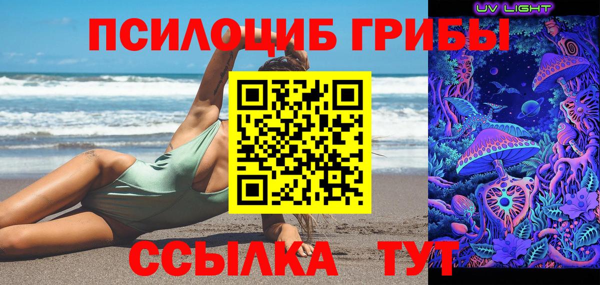 Псилоцибиновые грибы прущие грибы Отрадное